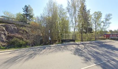 Skogsangsskolan
